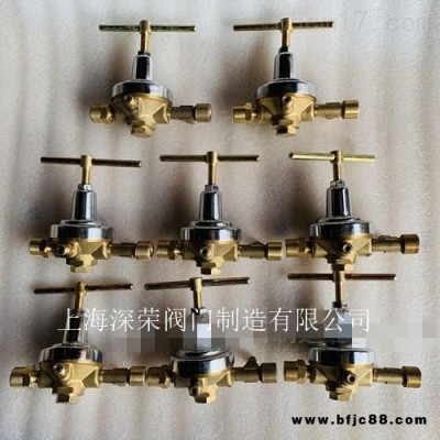 上海深榮 YQYG-224氧氣點閥箱專用氧氣減壓閥 氧氣點閥箱 可定制各種材質