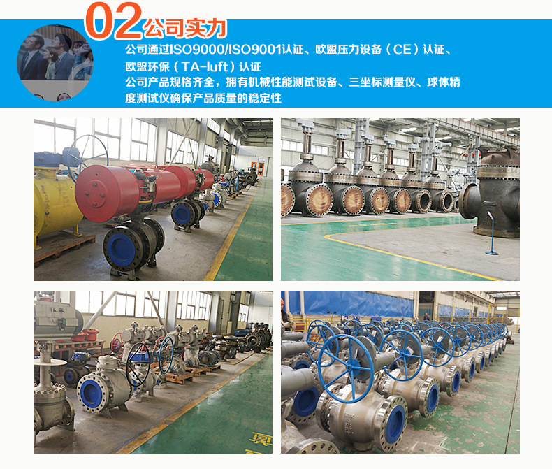 HCB型 氣動籠式套筒調(diào)節(jié)閥示例圖3