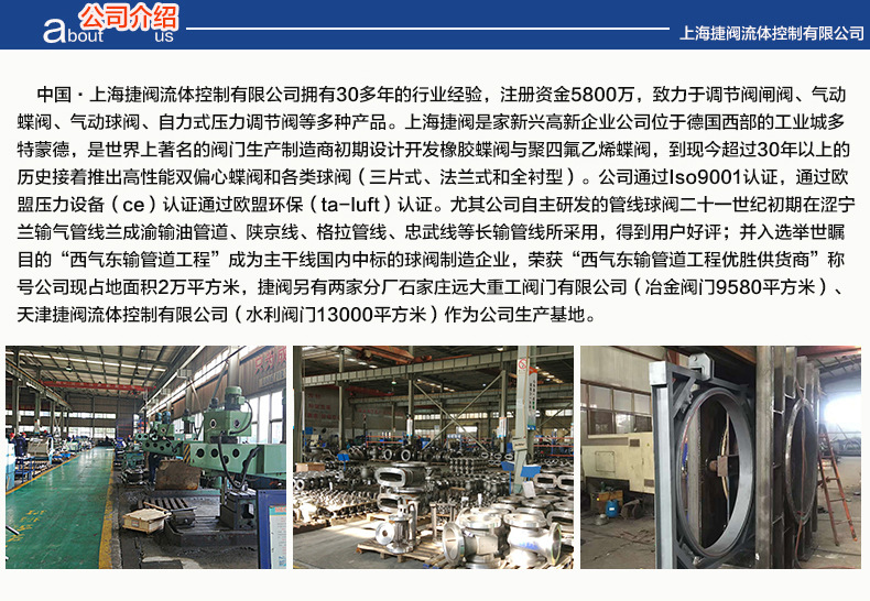 HCB型 氣動籠式套筒調(diào)節(jié)閥示例圖5